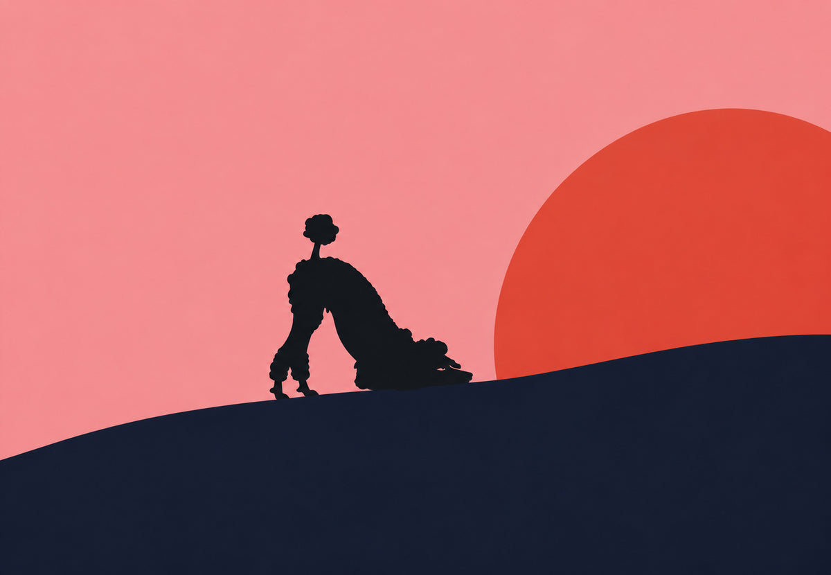 Caniche au coucher de soleil (Paysage)