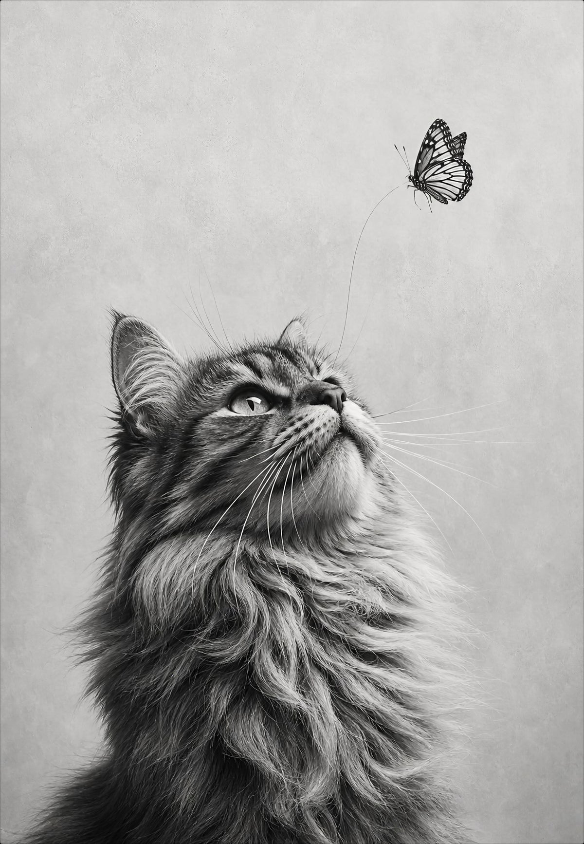 Le papillon au-dessus du chat