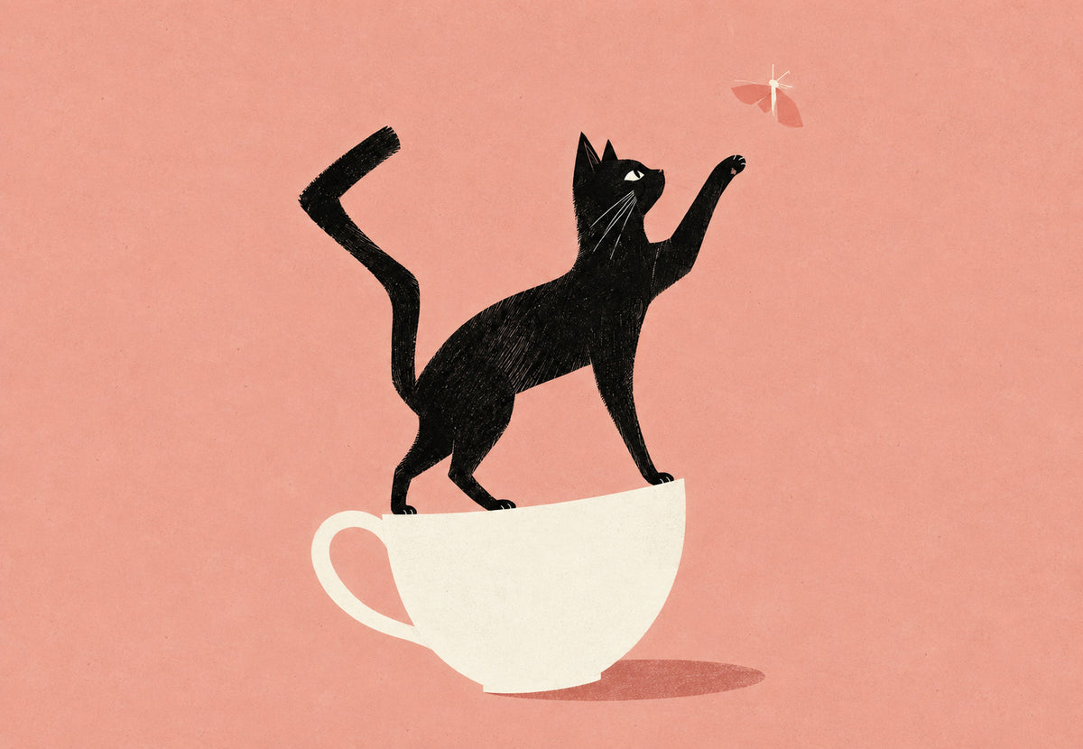 Gato preto em equilíbrio sobre uma chávena (Horizontal)