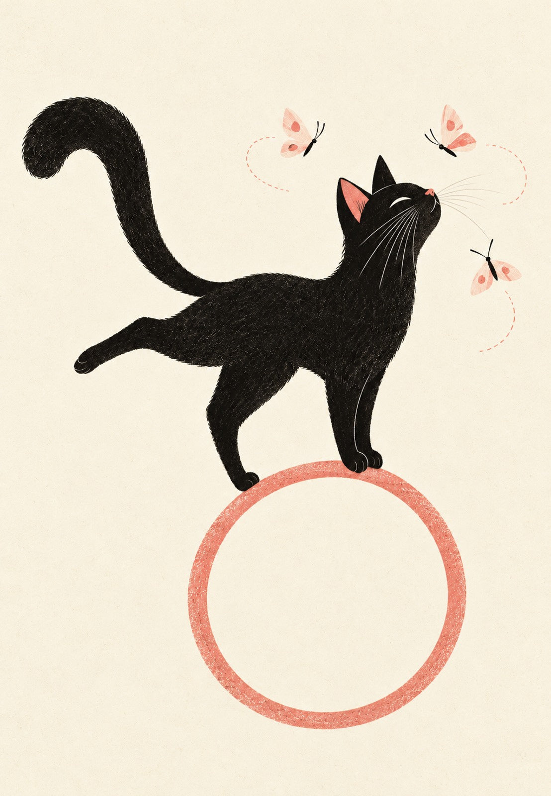 Gatto nero in equilibrio tra le farfalle
