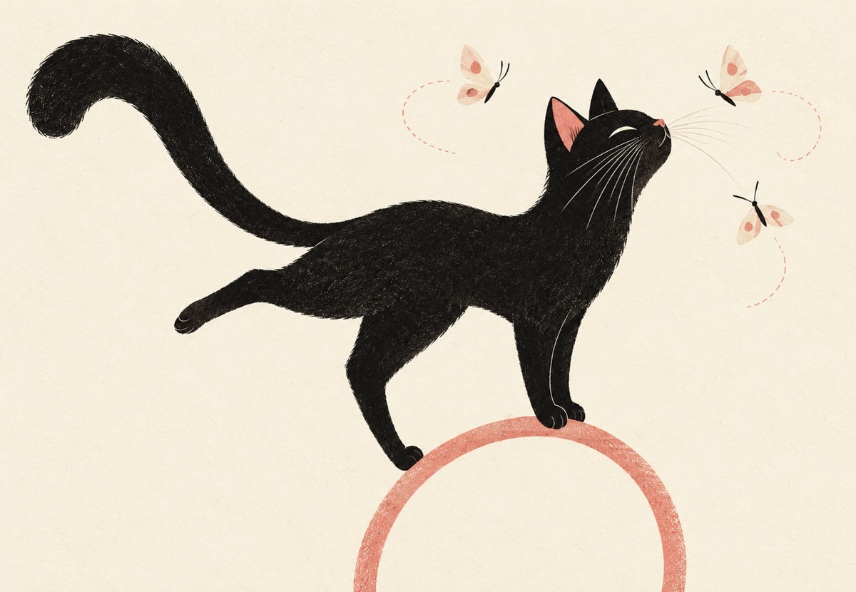 Schwarze Katze balanciert zwischen Schmetterlingen (Querformat)