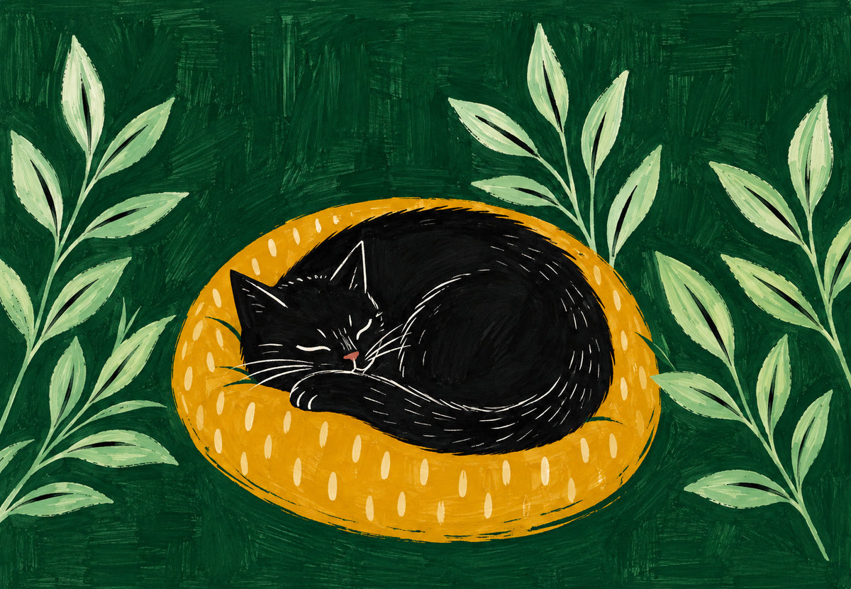 Black Cat Curled Up on a Yellow Cushion (Landscape)
