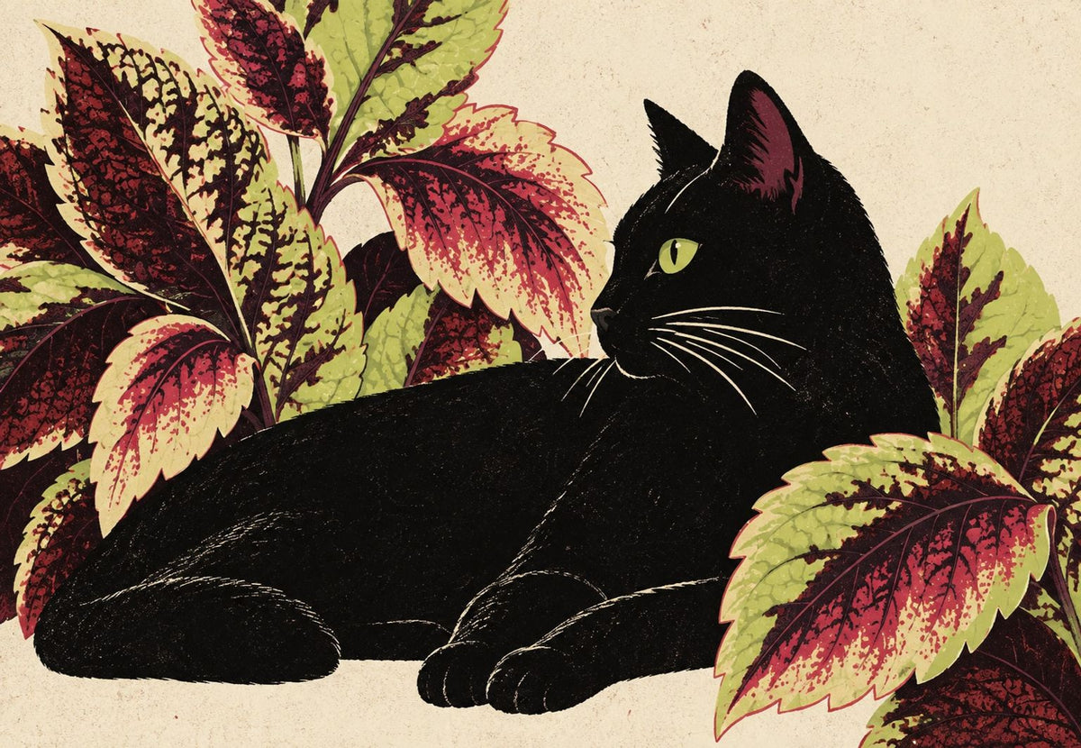 Svart katt under lila löv