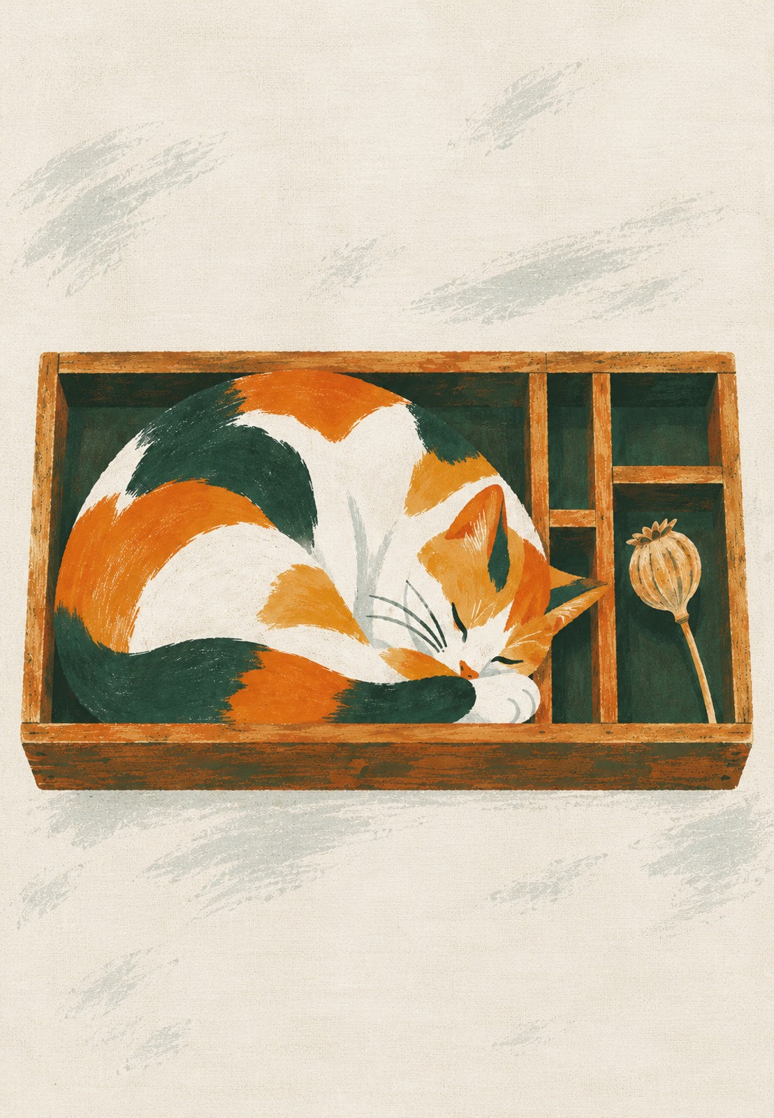 Cat Curled Up in a Wooden Drawer