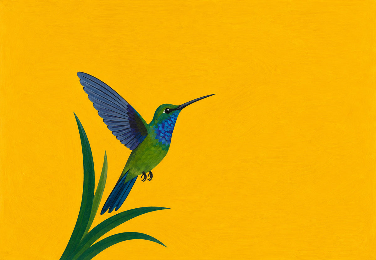 Blauer und grüner Kolibri im Flug (Querformat)