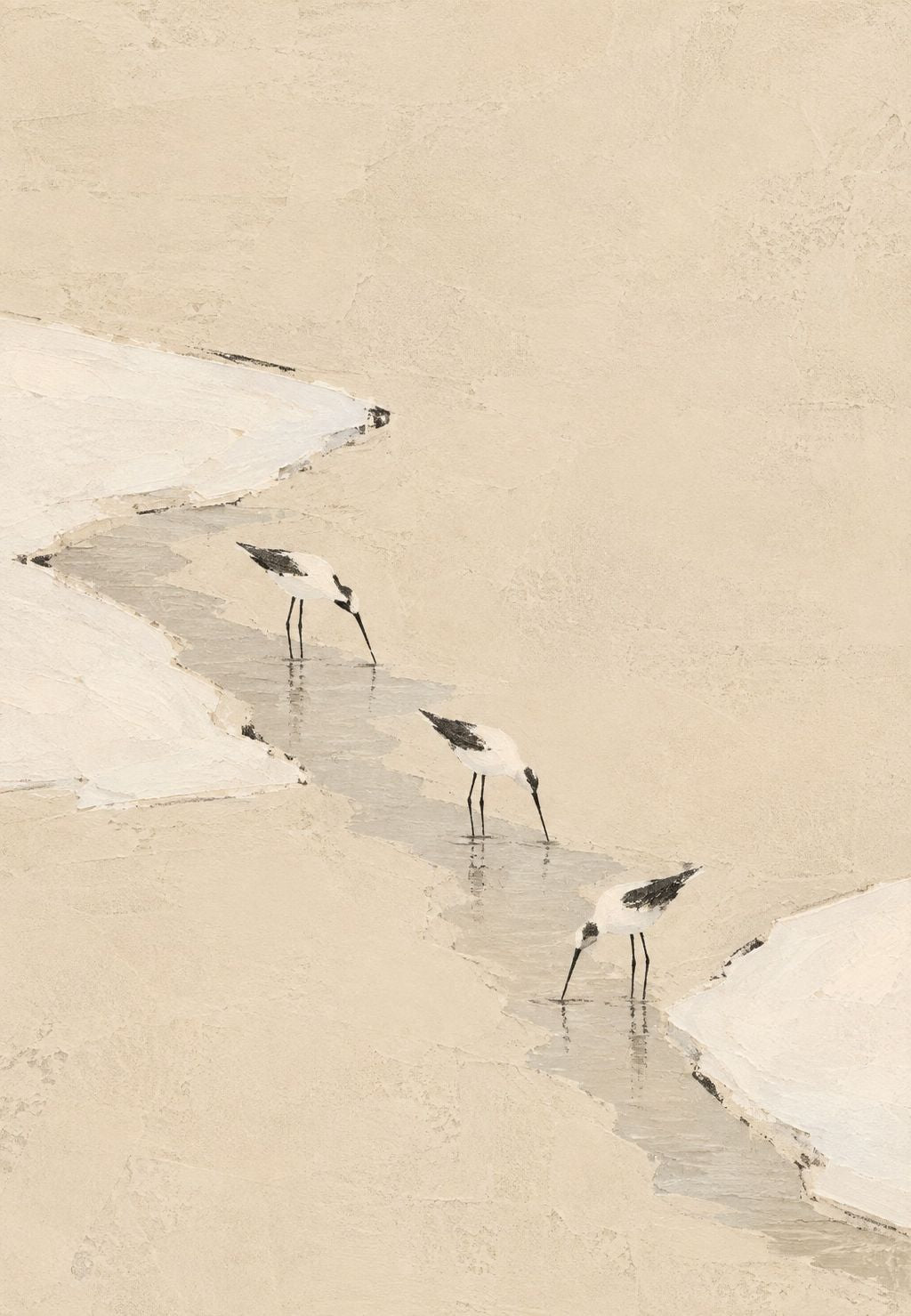 Wading Birds on the Tideland
