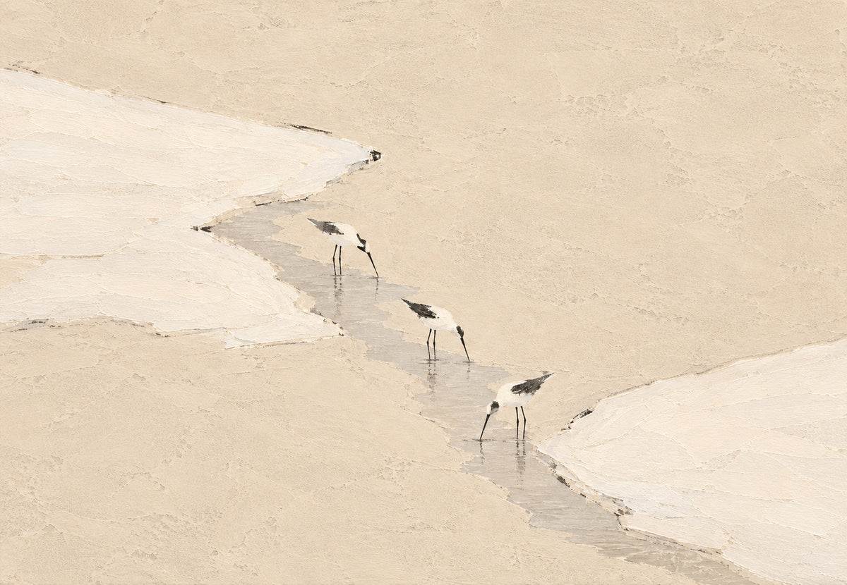 Wading Birds on the Tideland (Landscape)