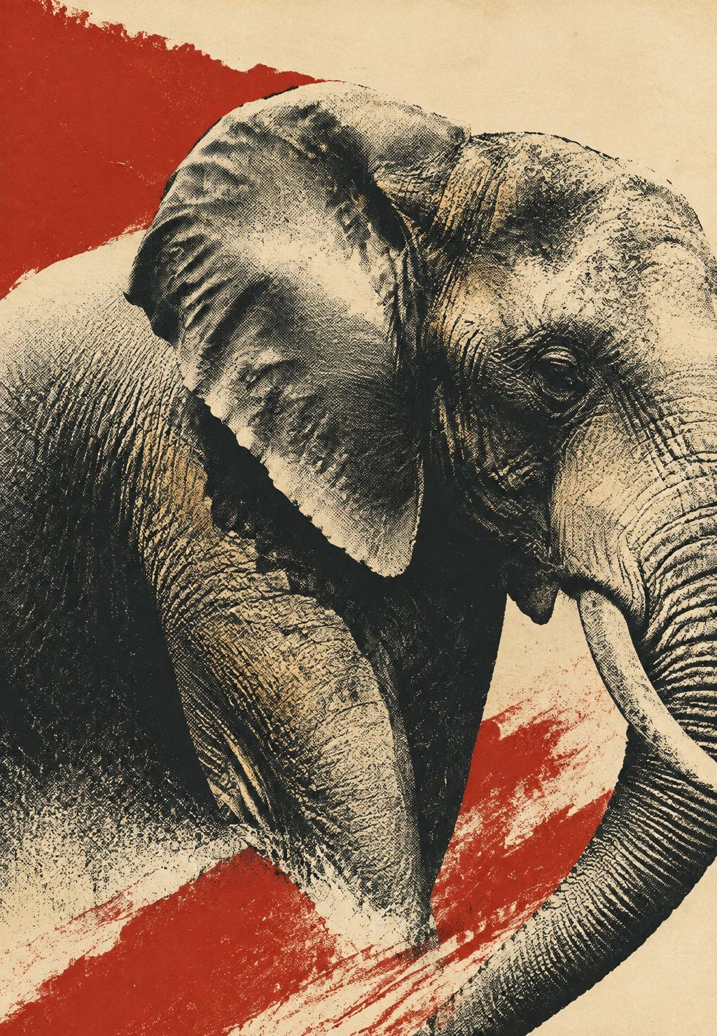 Elefant in Nahaufnahme, Rot und Schwarz