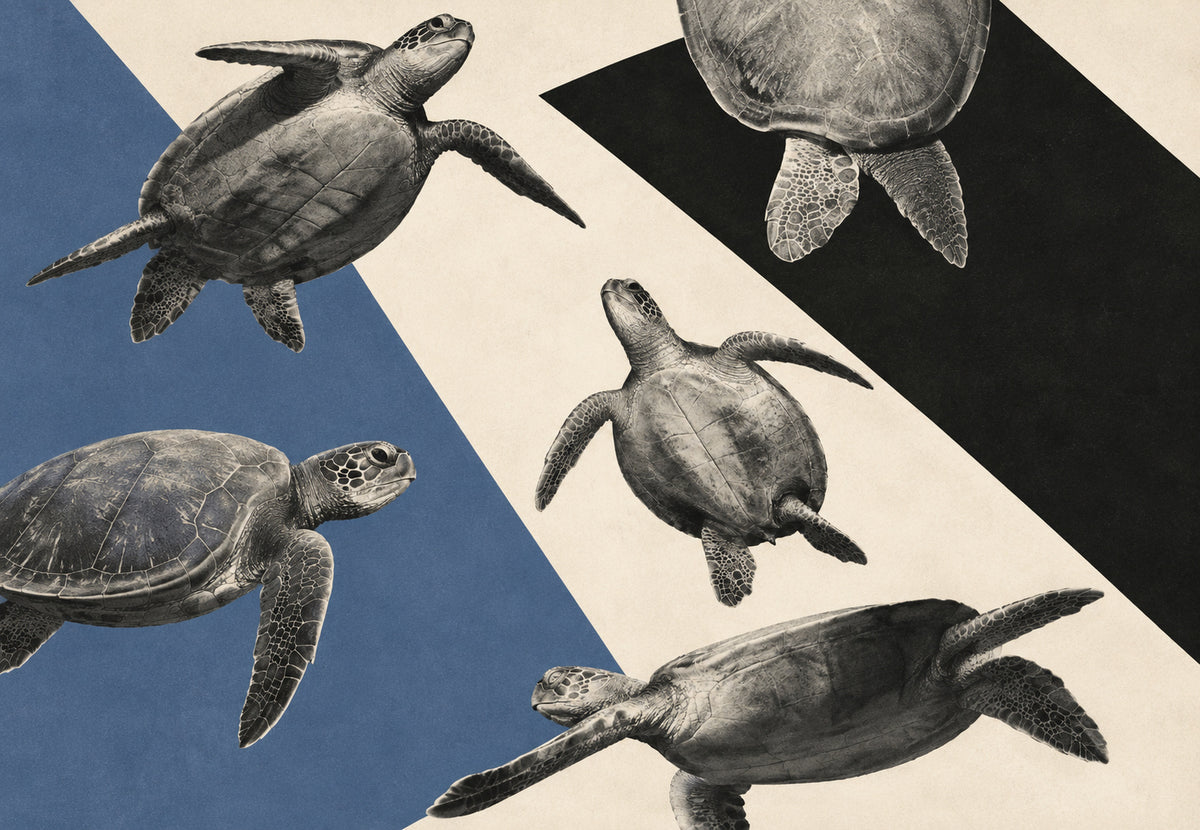 Flight of Sea Turtles (Landscape)