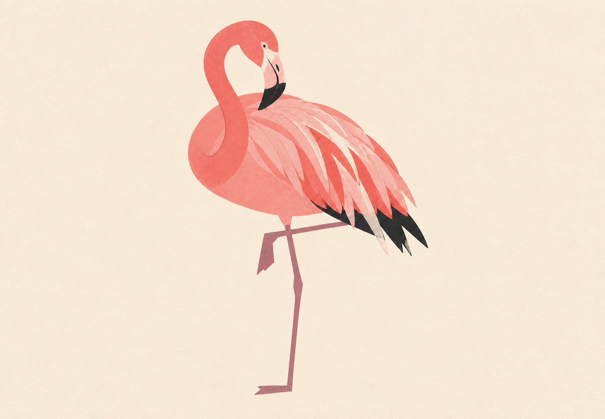 Pink Flamingo on One Leg (Landscape)