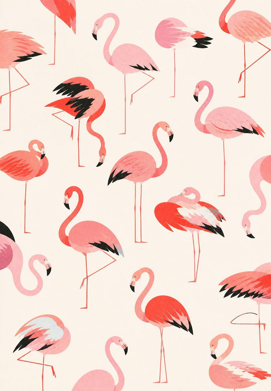 Flamencos rosas en danza