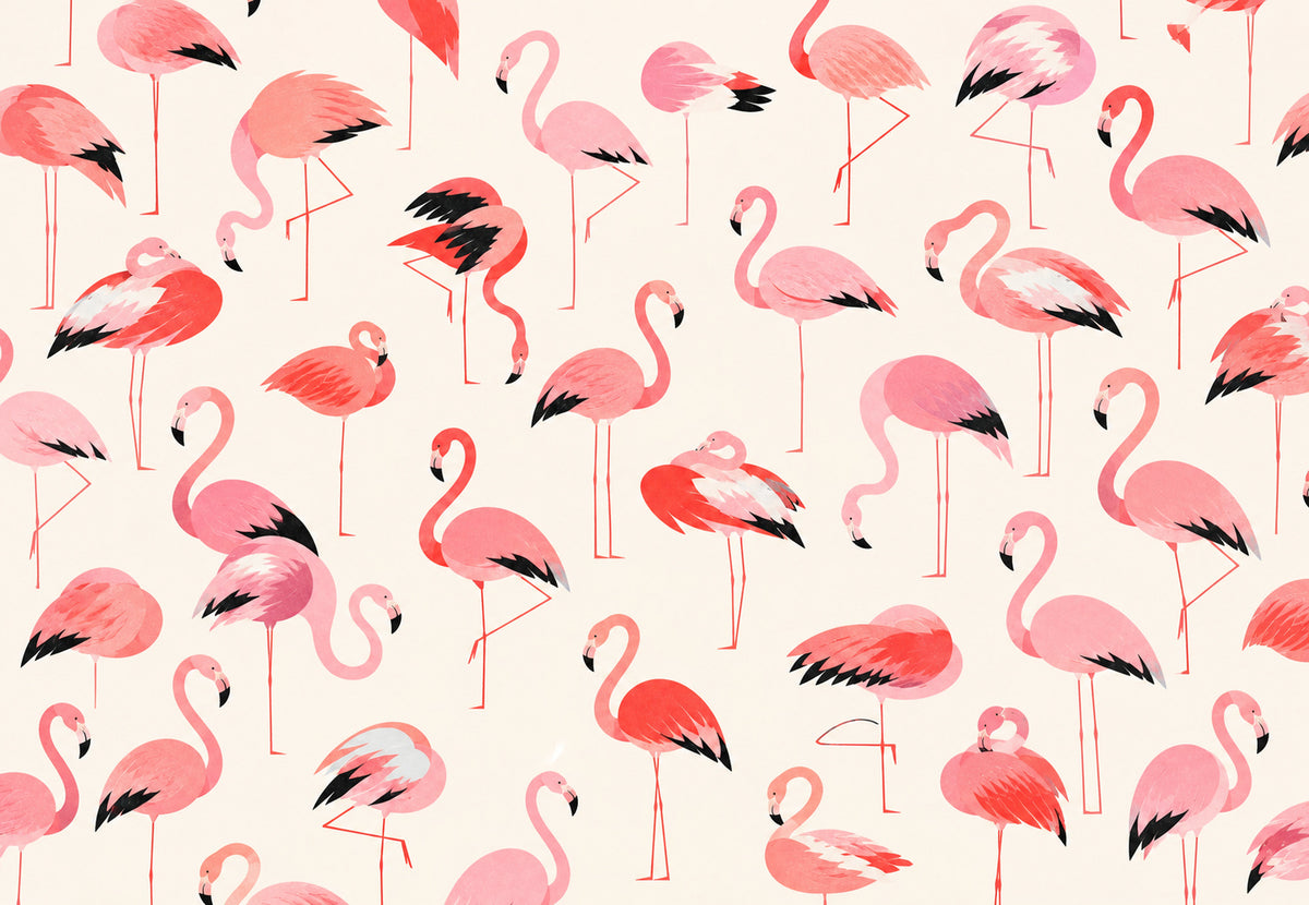 Roze flamingo's in dans (Liggend)
