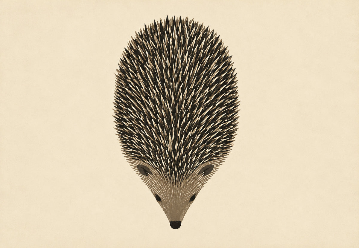 Igel von oben gesehen (Querformat)