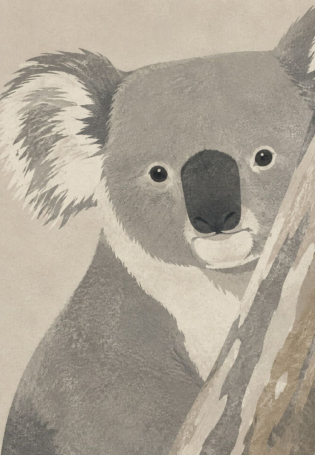 Koala na eukaliptusu
