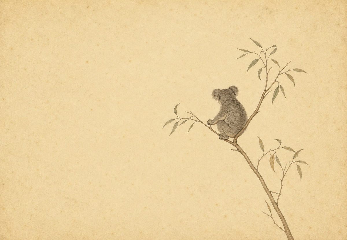 Koala auf einem Eukalyptuszweig (Querformat)