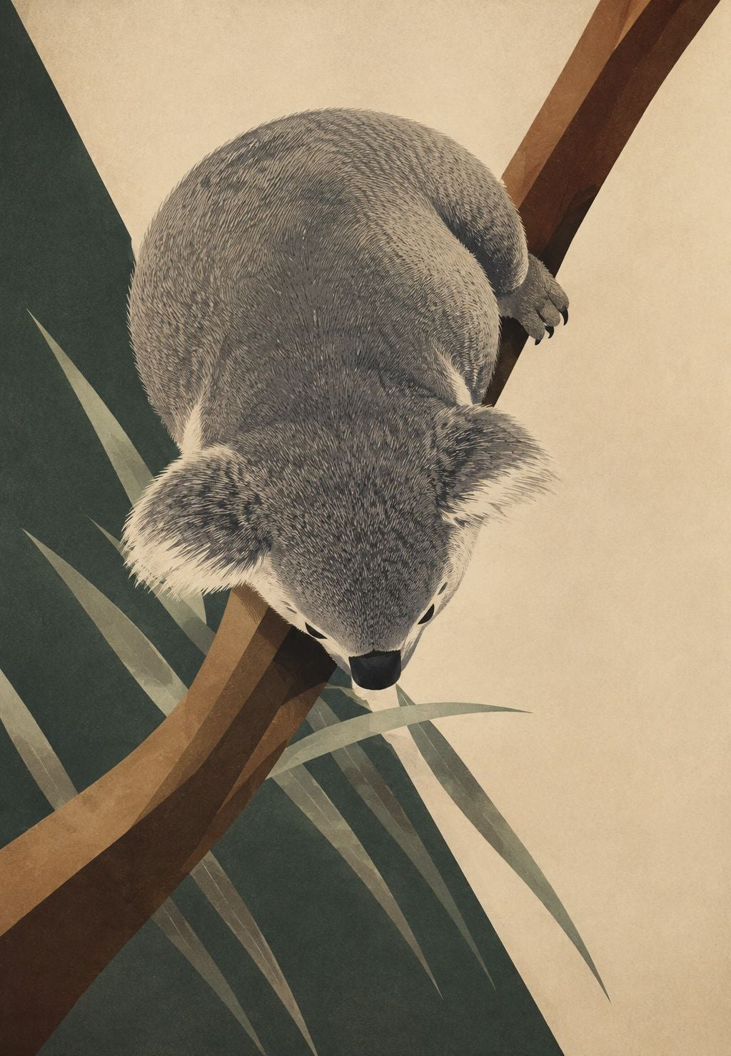 Koala s glavom prema dolje