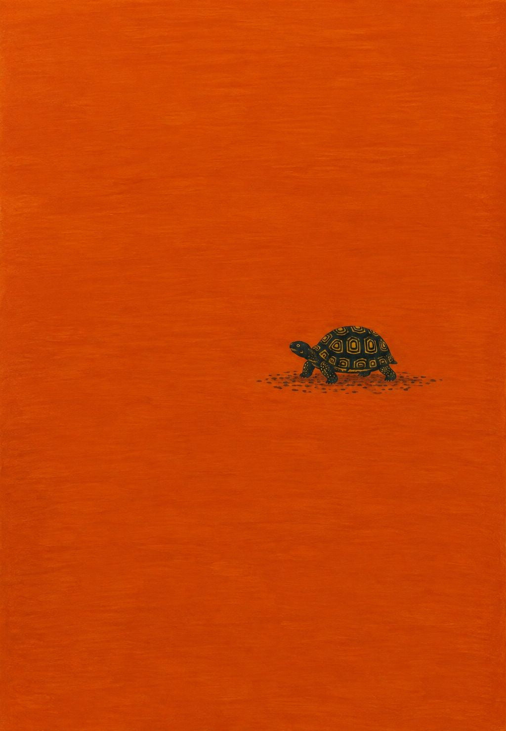 The Orange Tortoise