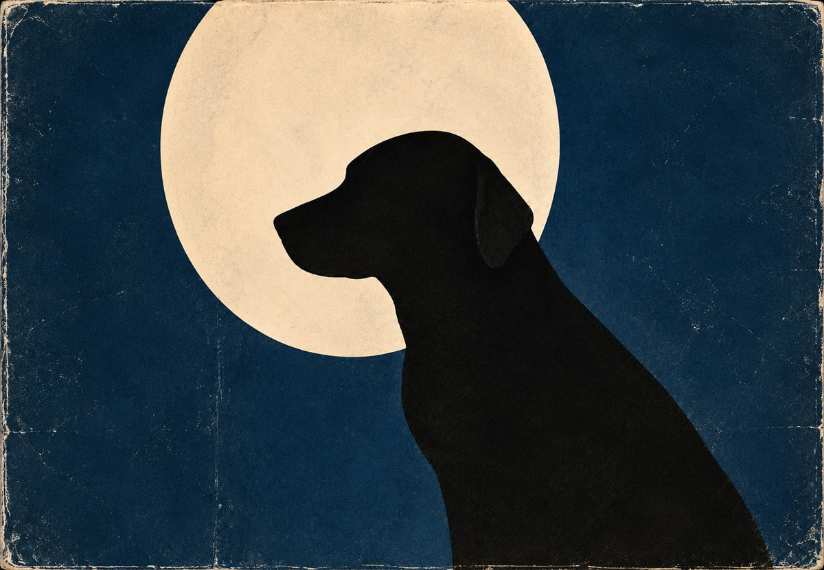 Labrador pod úplňkem (Na šířku)