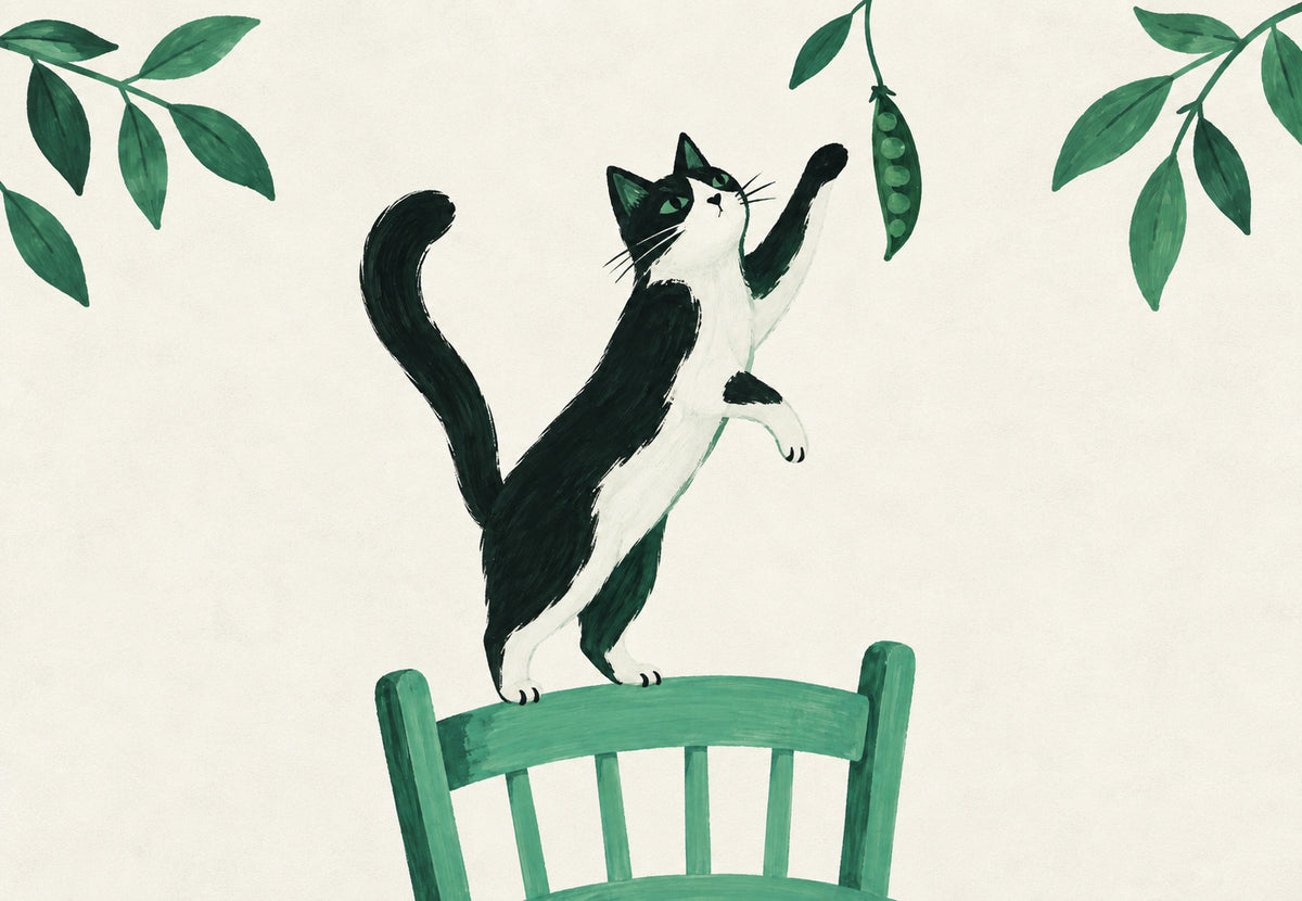 Il gatto e i piselli (Orizzontale)