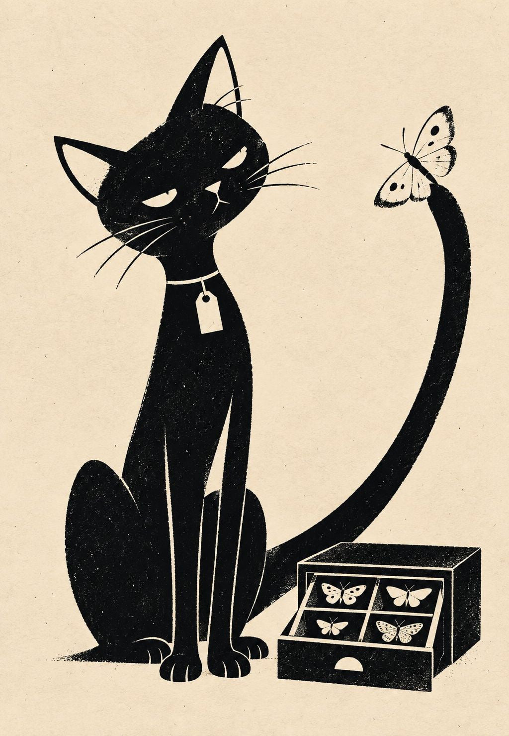O gato e a borboleta