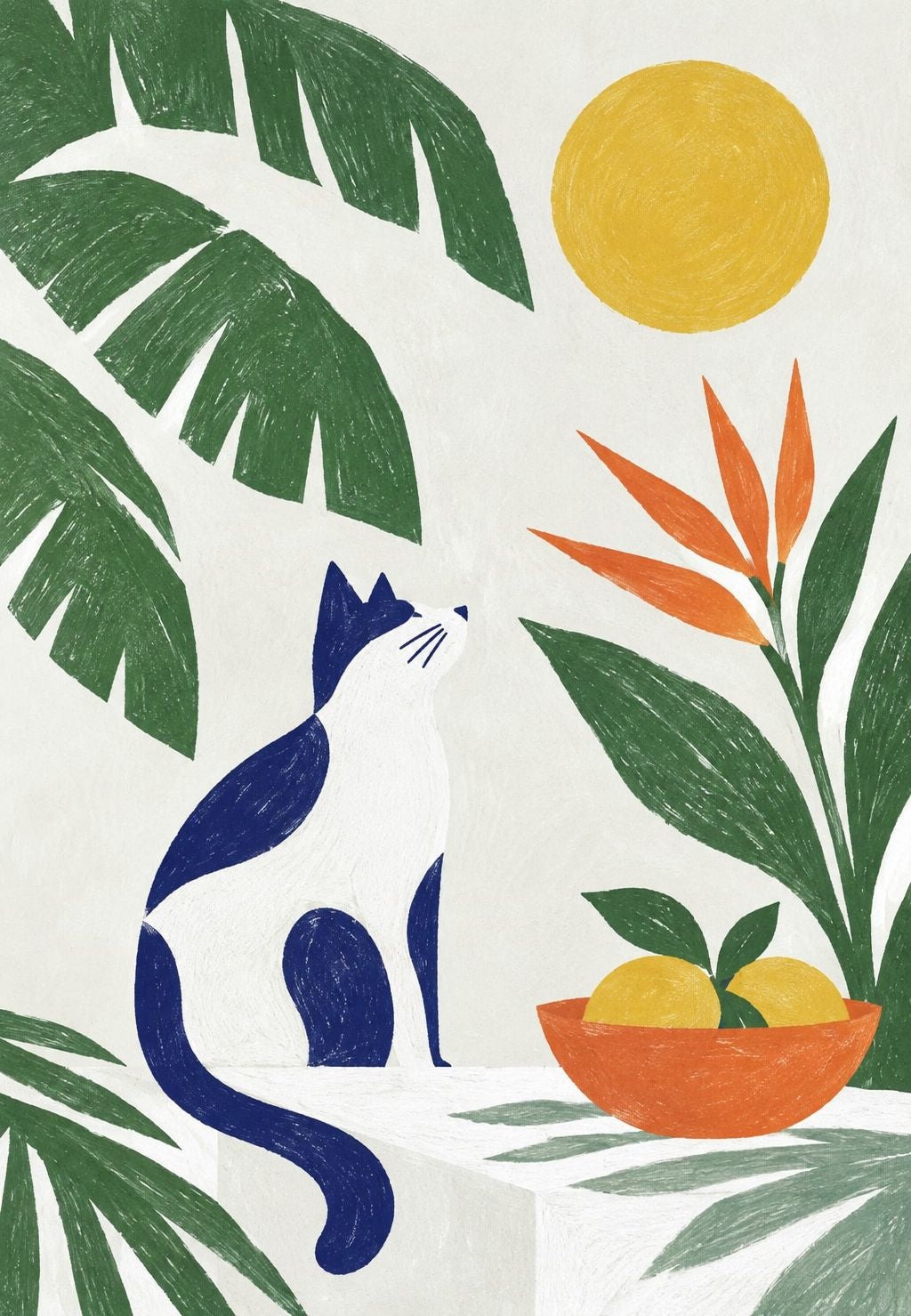 De kat en de zon