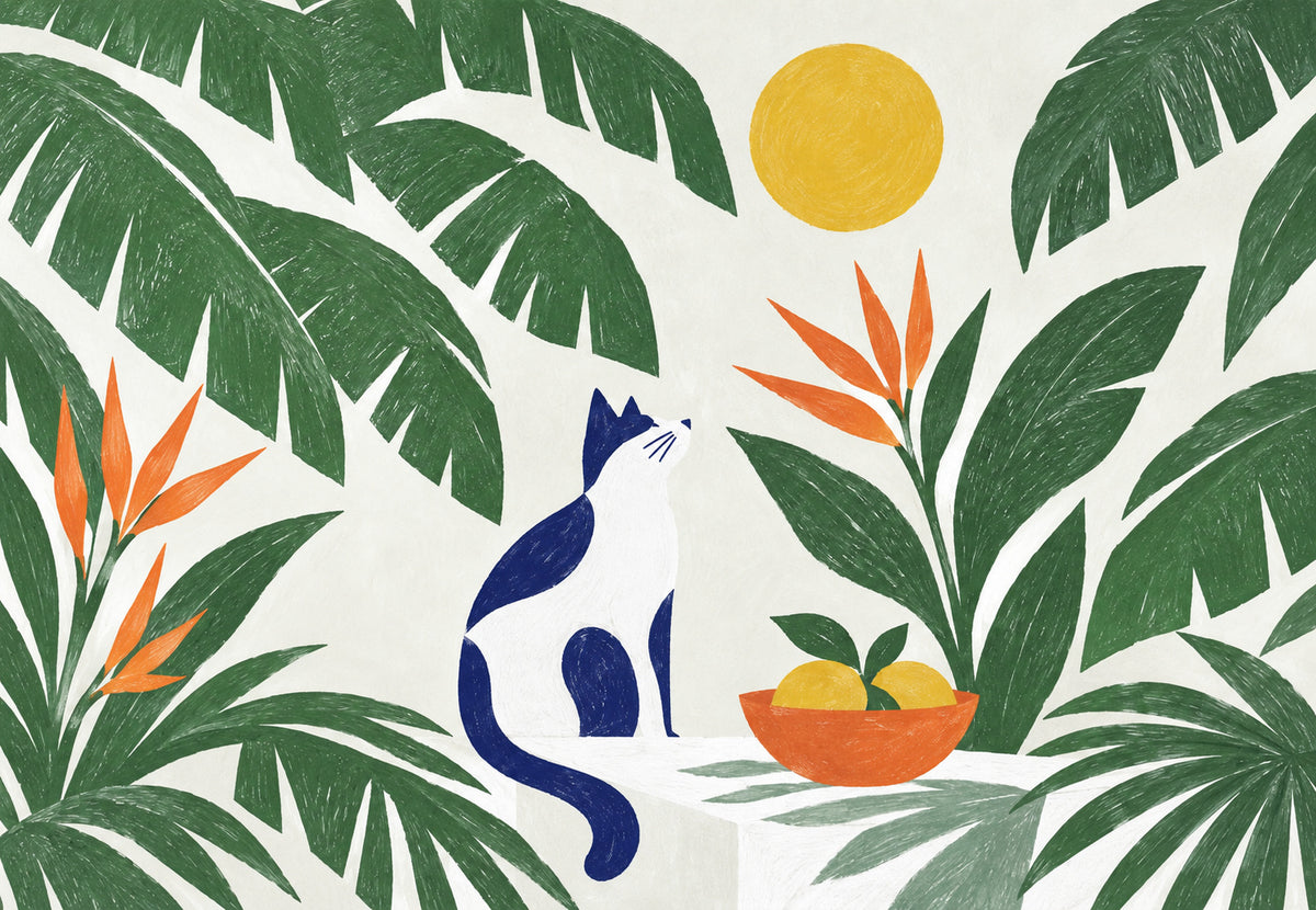 Il gatto e il sole (Orizzontale)