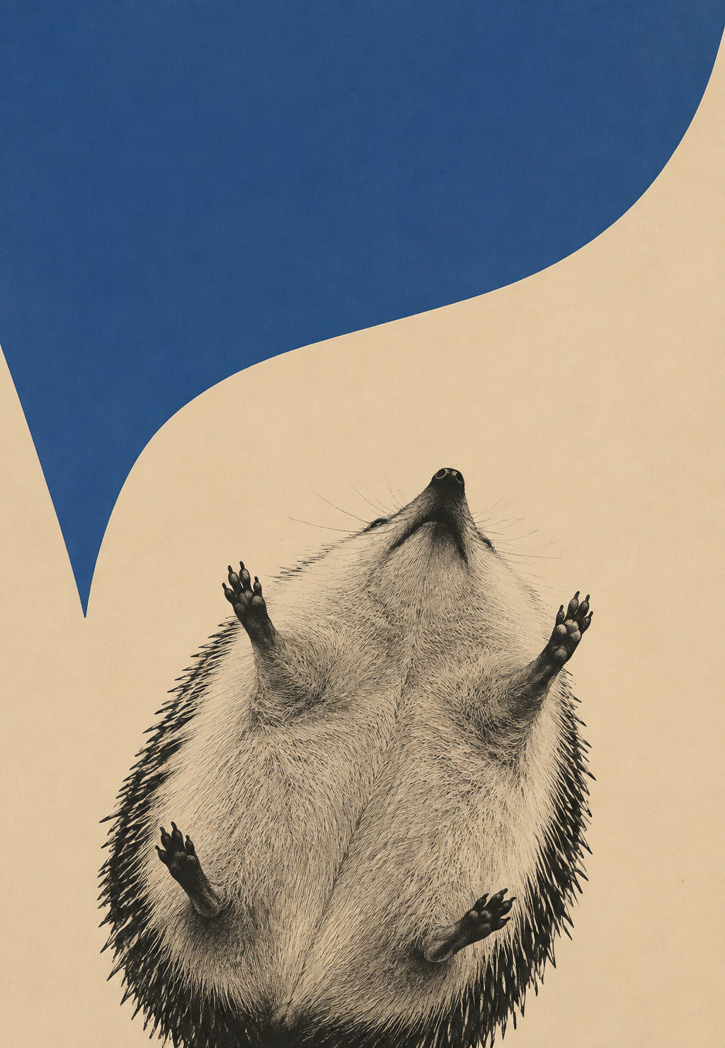 Der Igel vor dem blauen Himmel