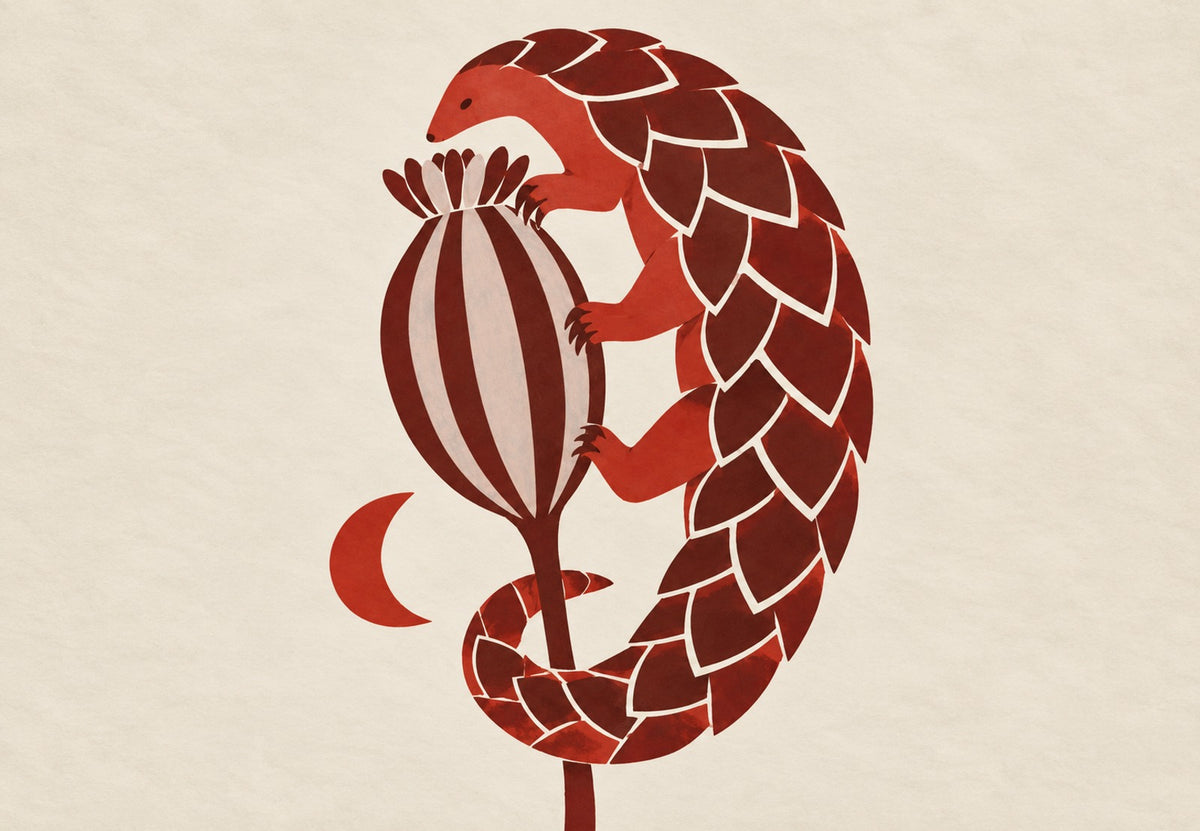 The Pangolin and the Poppy (Landscape)