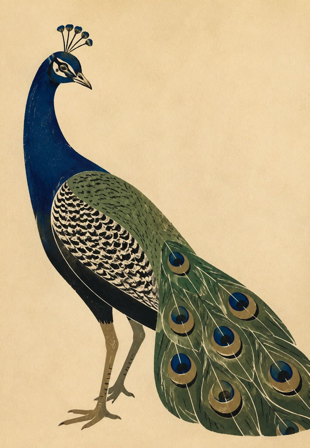 Der majestätische Pfau