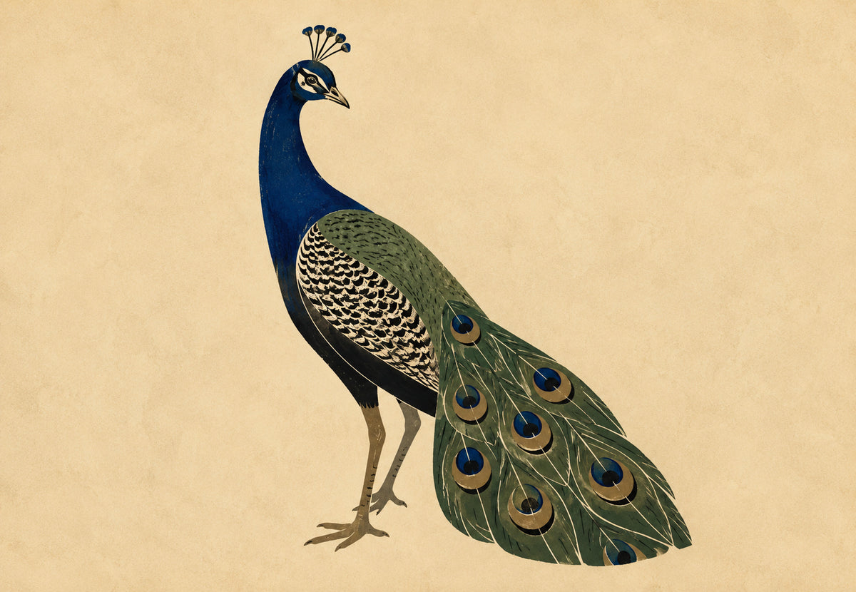Der majestätische Pfau (Querformat)