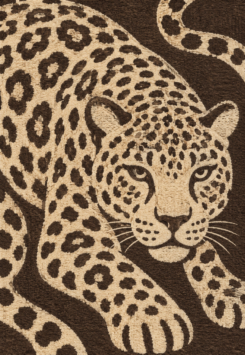 Woven Leopard in Chiaroscuro