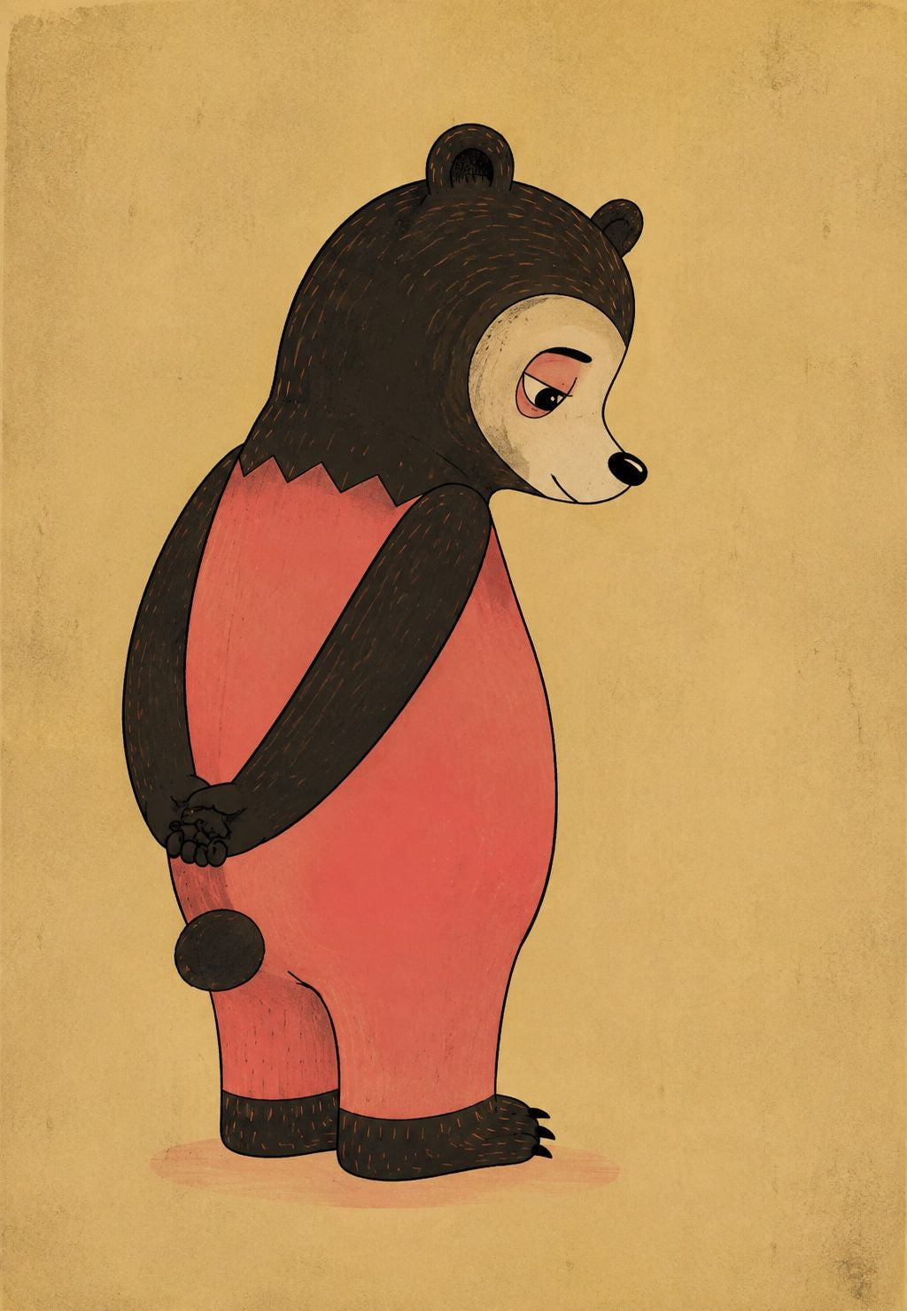Bear with a Coral Belly