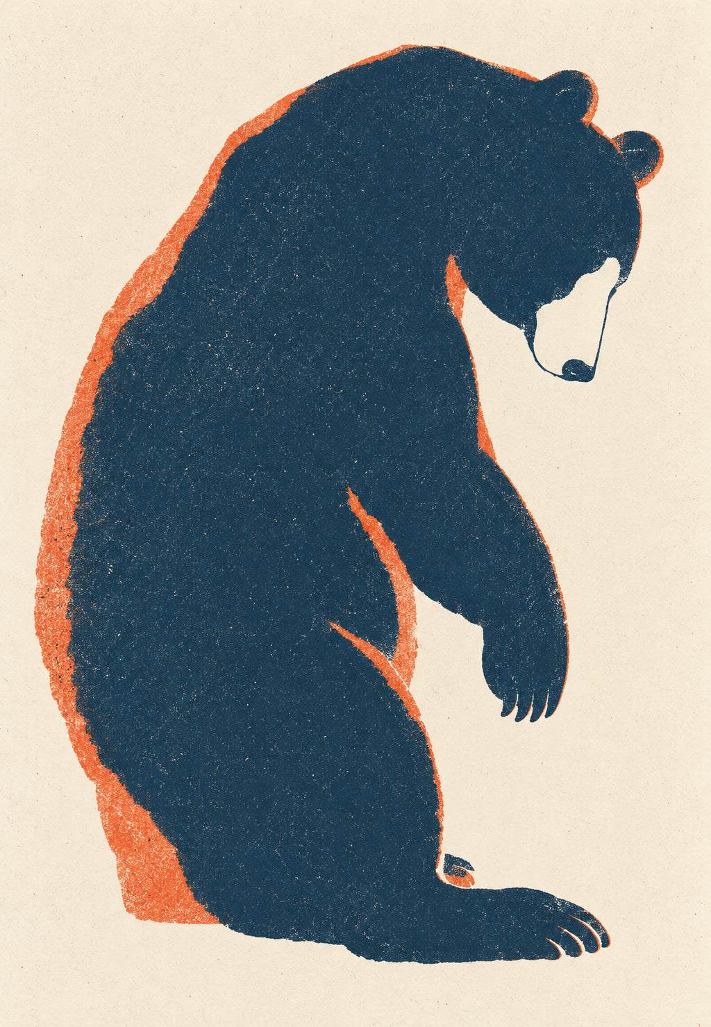 Orso pensoso