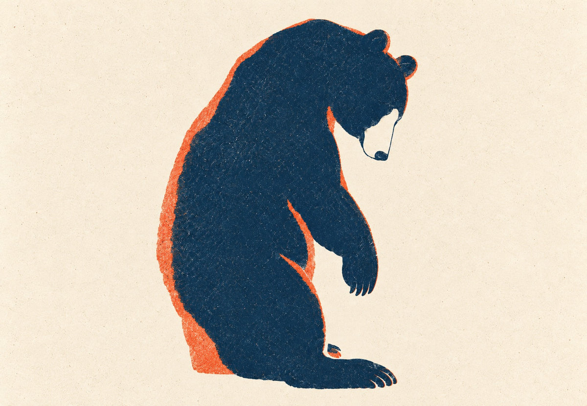 Oso pensativo (Horizontal)
