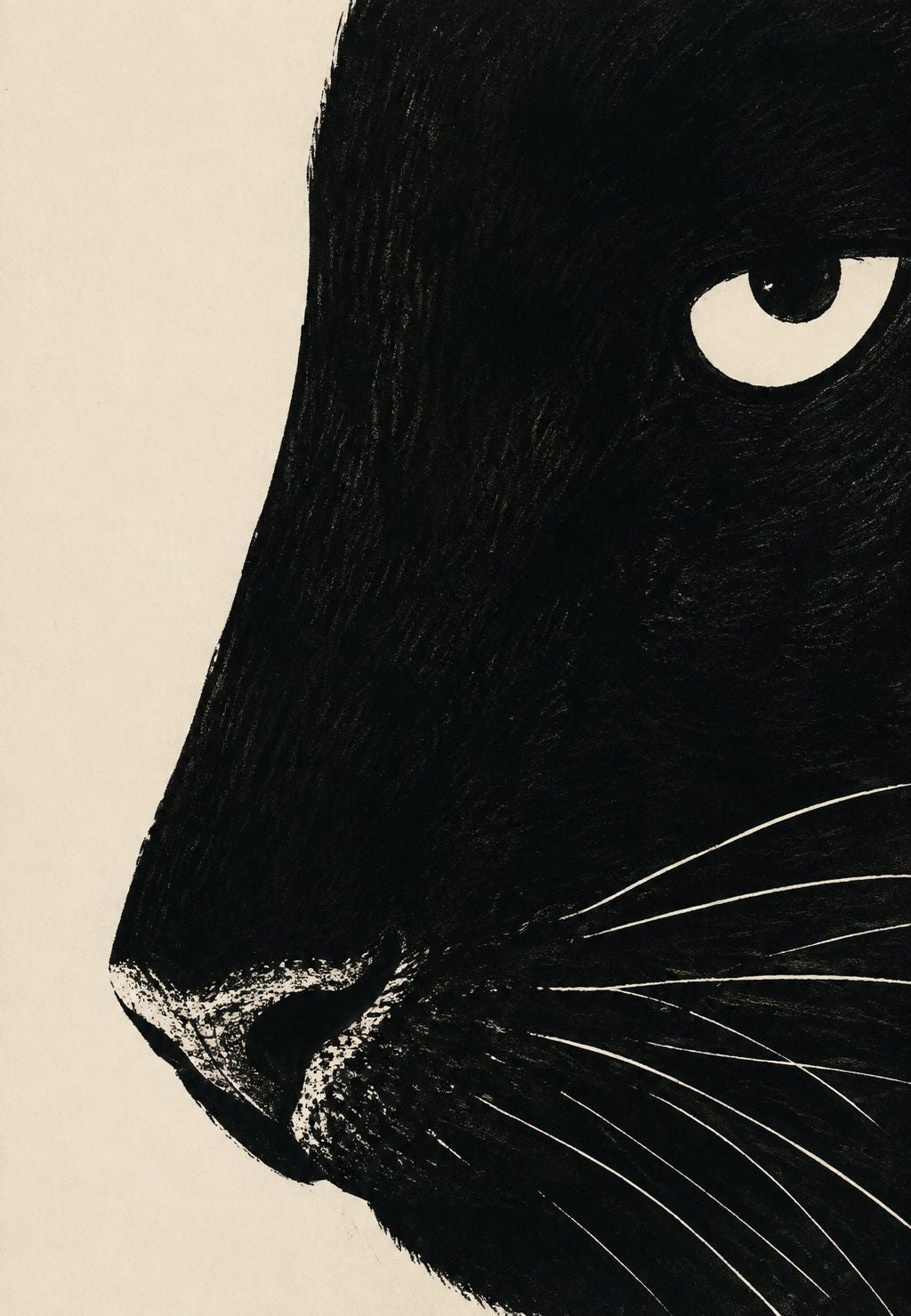 Schwarzer Panther im Profil