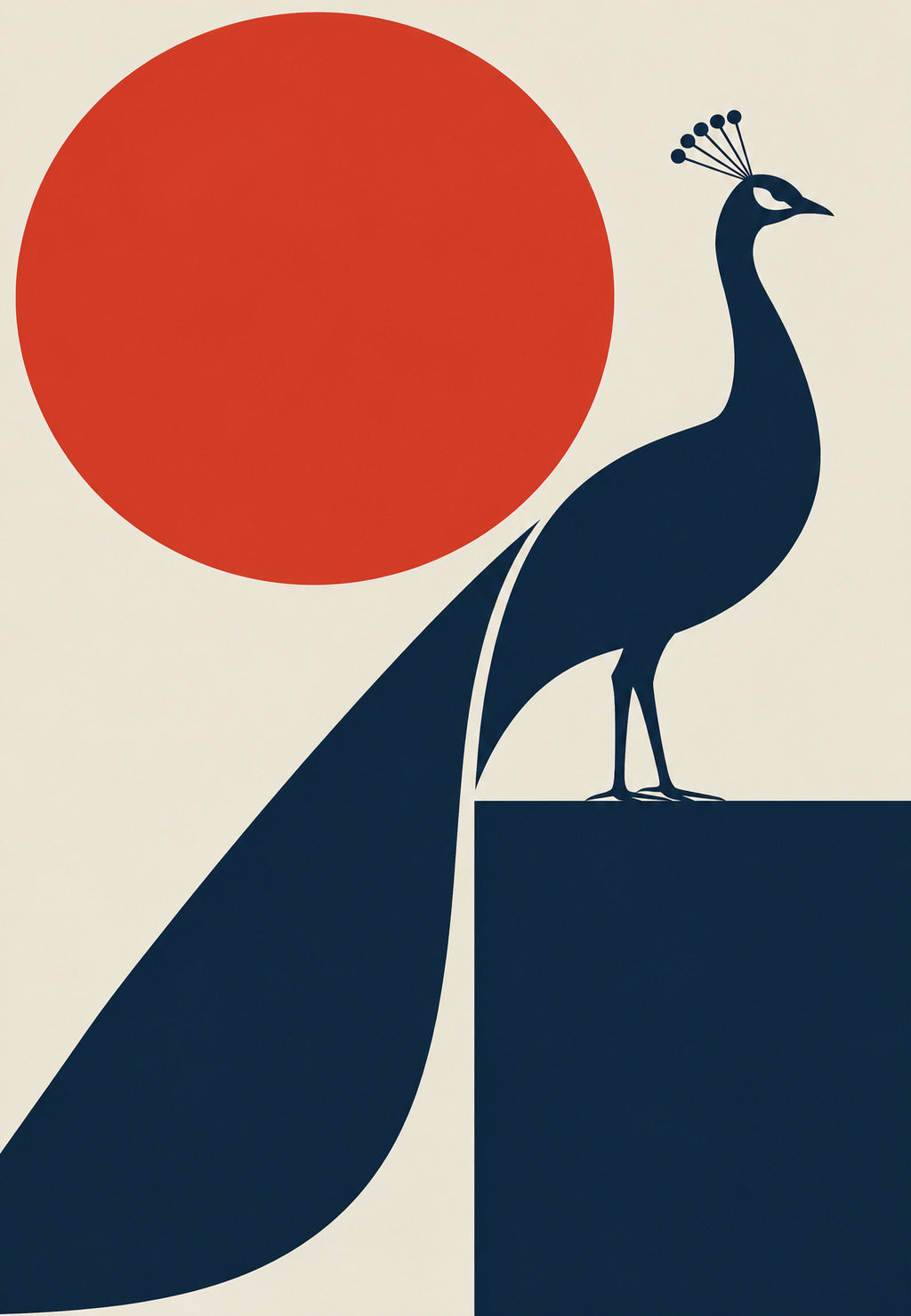 Peacock in the Sun