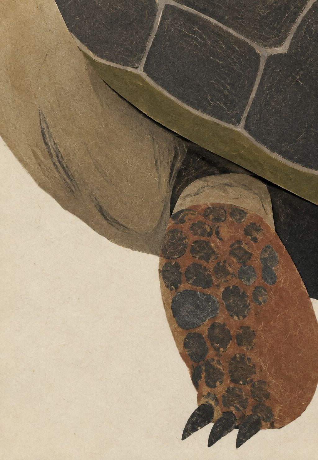 Giant Tortoise Leg