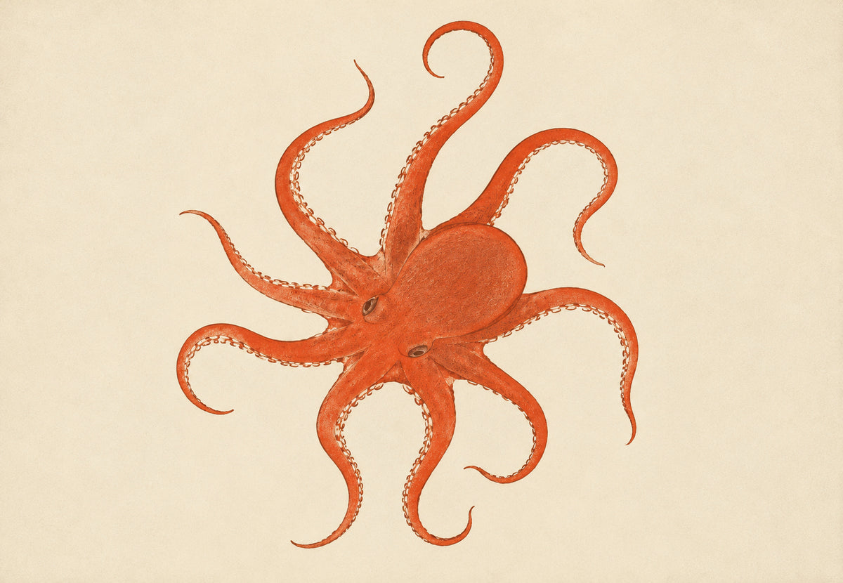 Orangefarbener Oktopus (Querformat)