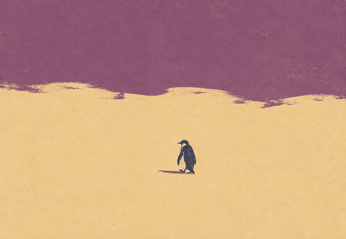 Pinguino sulla duna malva (Orizzontale)