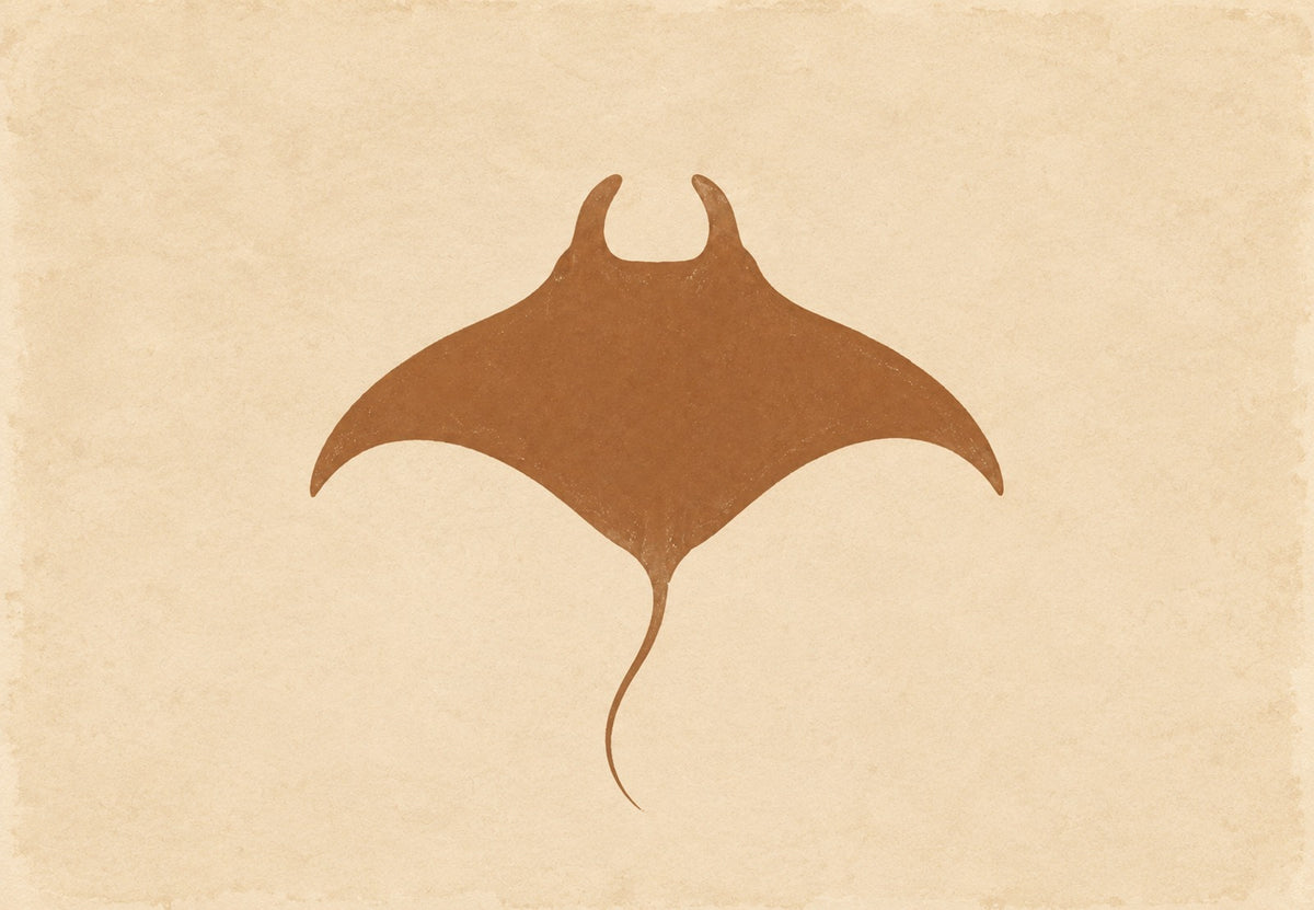 Mantarraya de alas desplegadas (Horizontal)