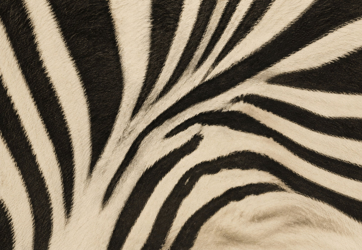 Black Stripes on Ivory Fur (Landscape)