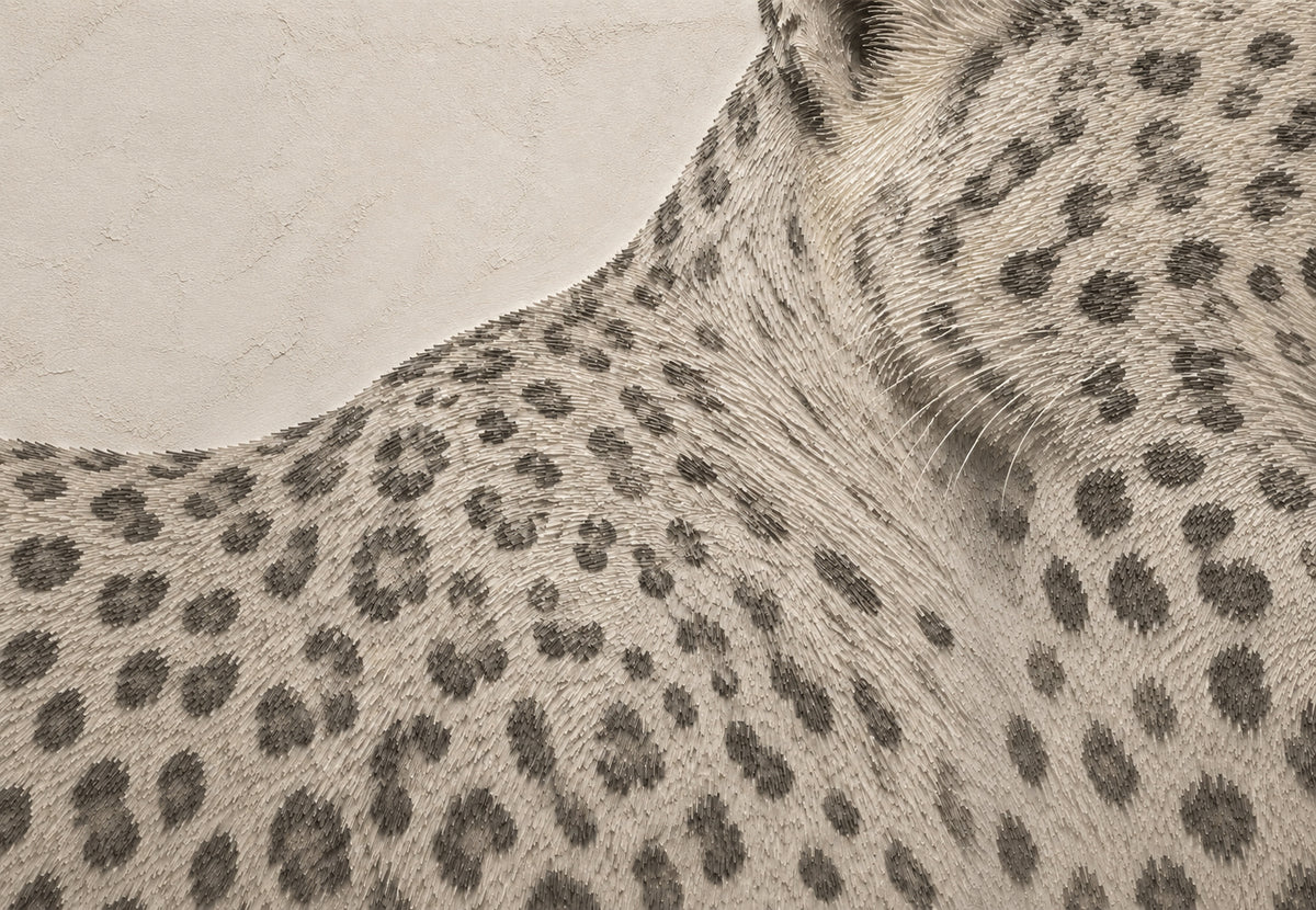 Leopardenrosetten (Querformat)