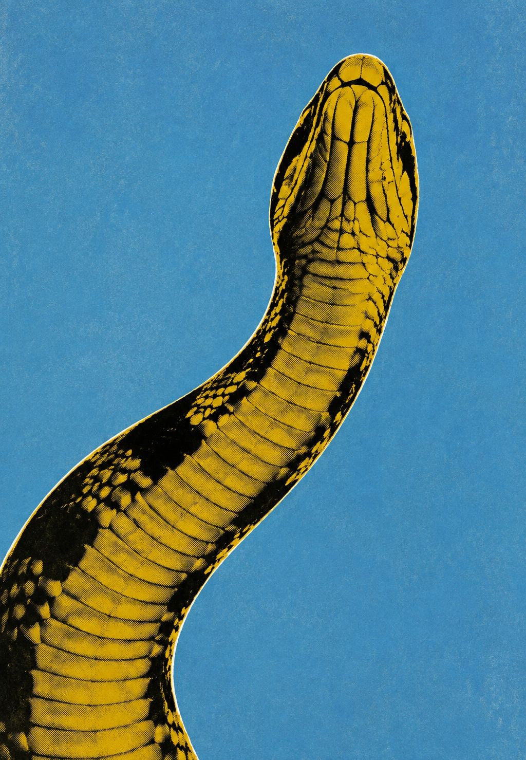 Serpente eretto verso il cielo