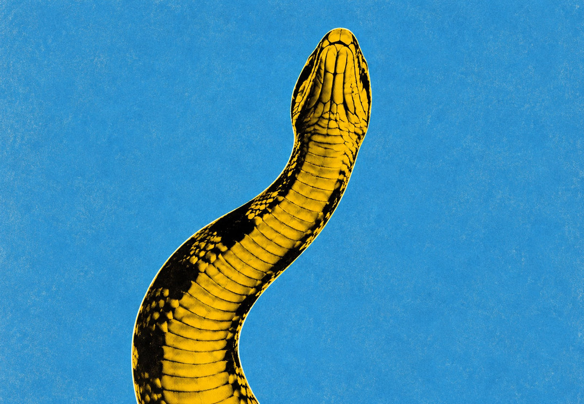 Snake Rearing Toward the Sky (Landscape)