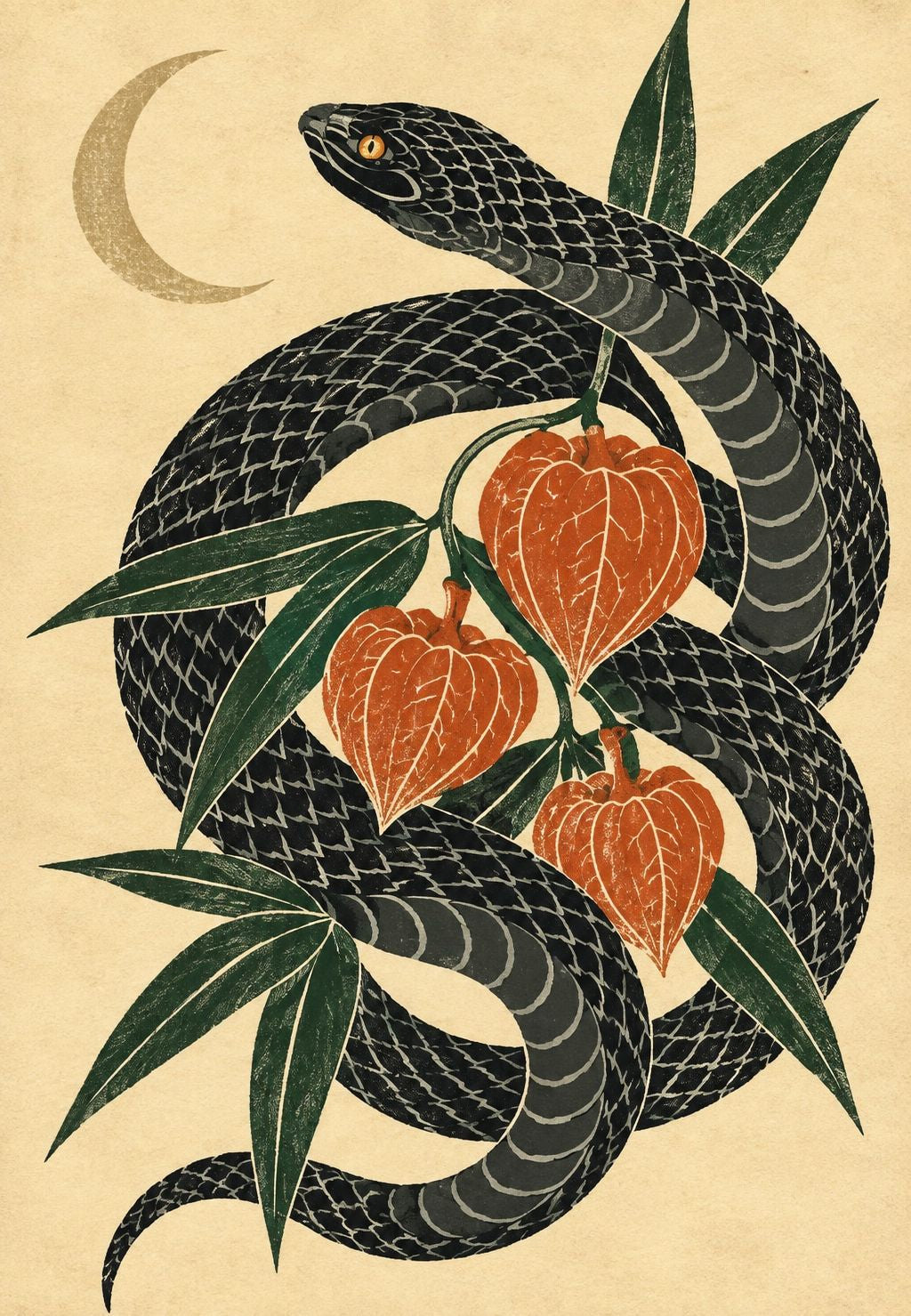 Snake and Physalis by Moonlight
