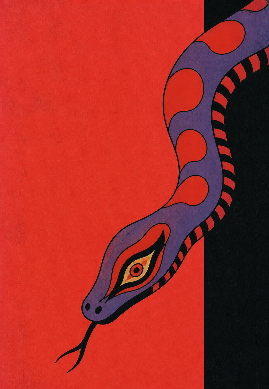 Serpente viola dall'occhio di fuoco
