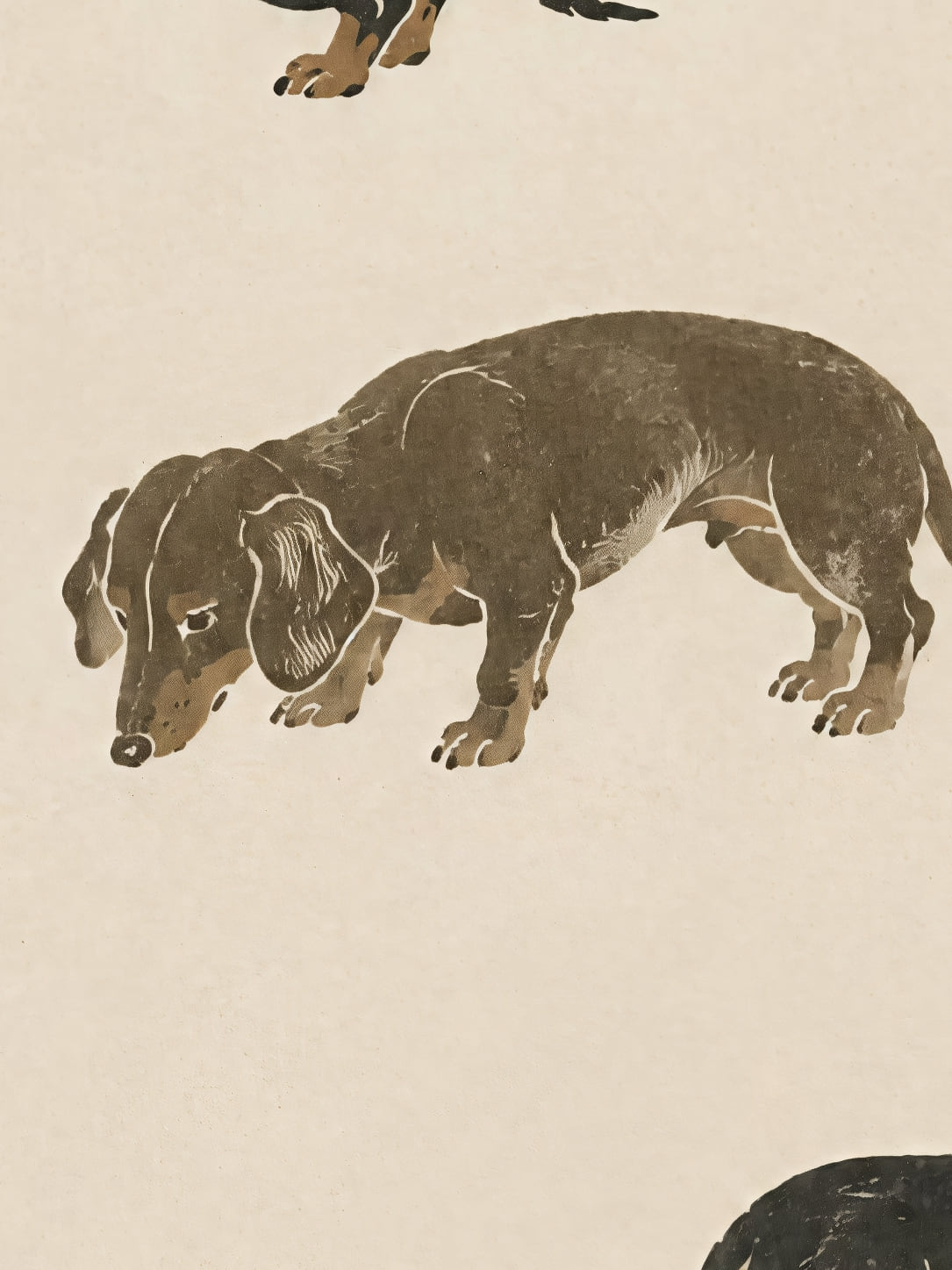 Detail a taille reelle du tirage, affiche animaux teckels en planche naturaliste