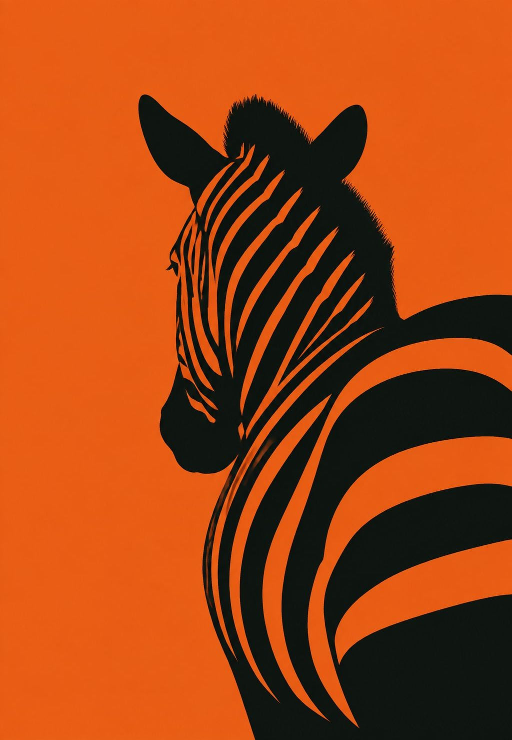 Zebra hátulról narancssárga háttér előtt
