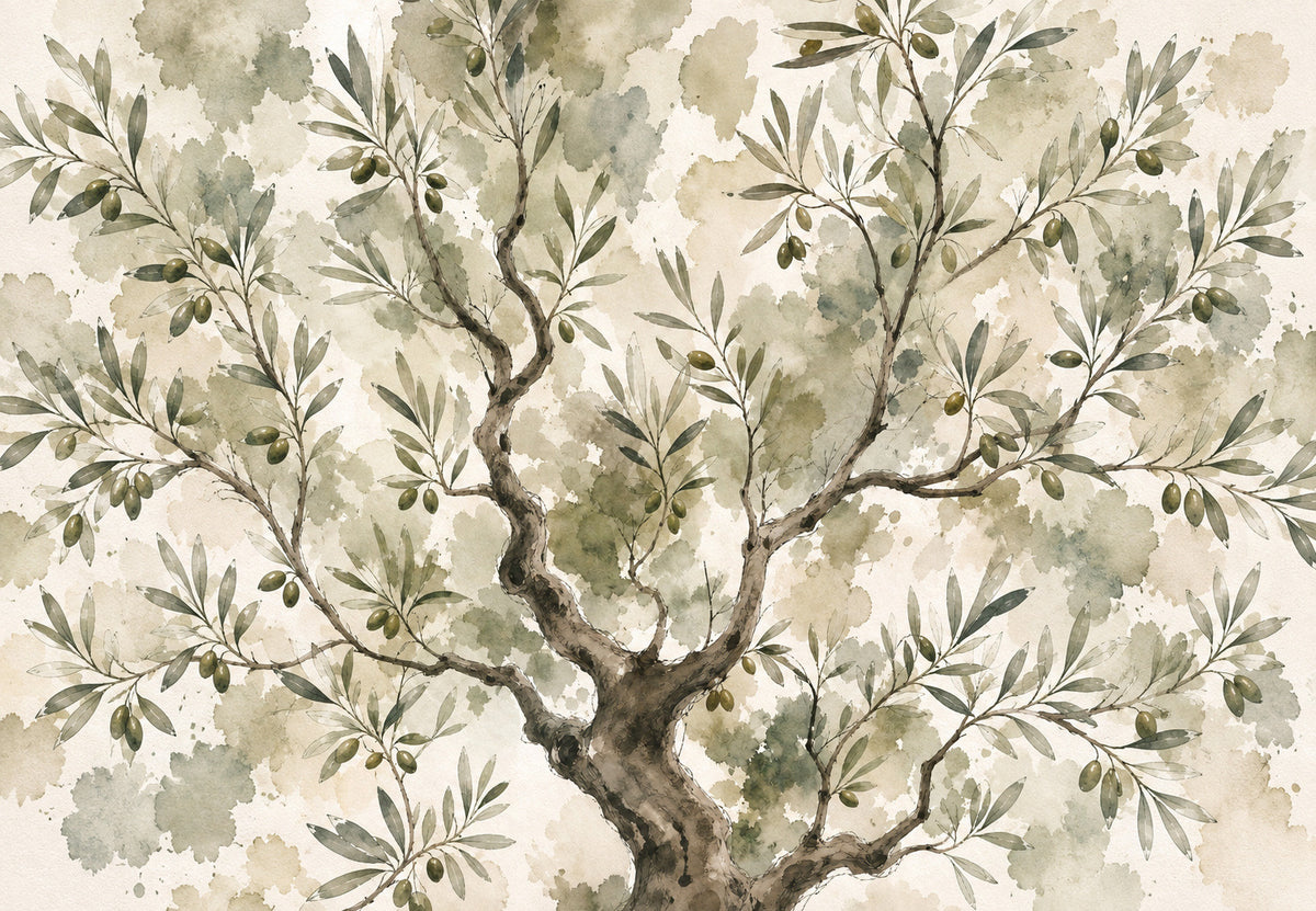 The olive tree in the mist (Landscape)