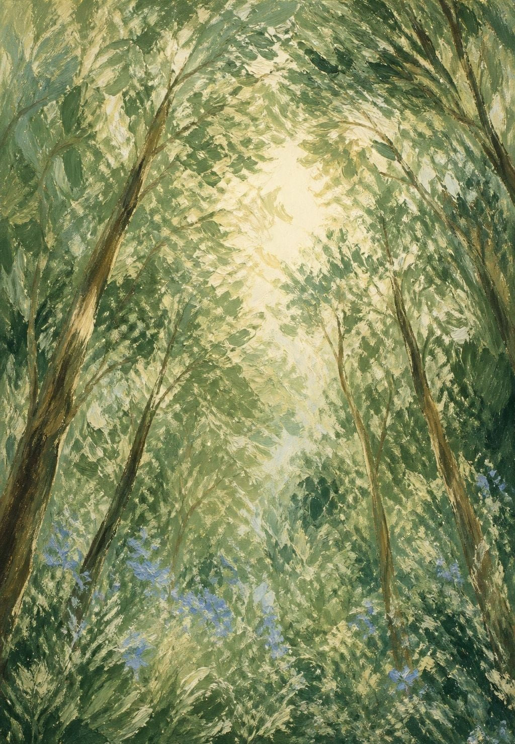 La luce tra le fronde